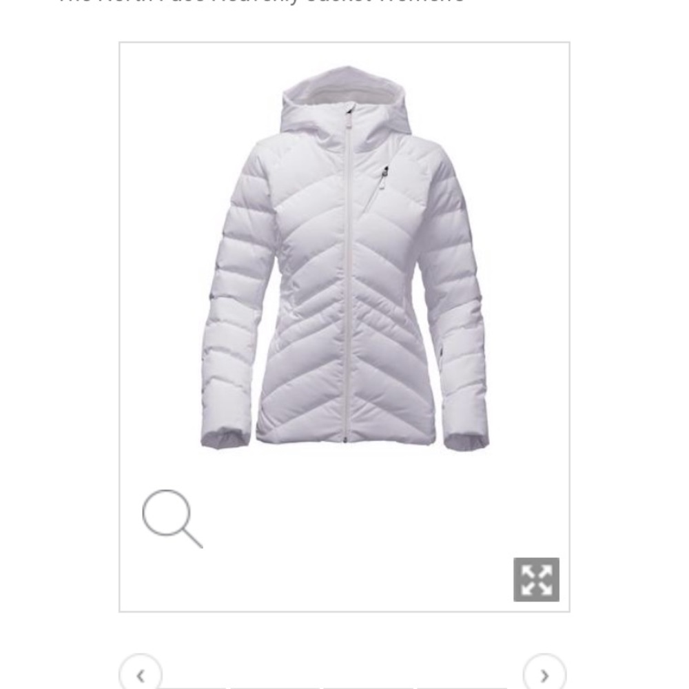 The north face down jacket